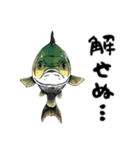 魚！魚！魚！（個別スタンプ：30）