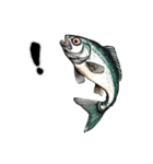魚！魚！魚！（個別スタンプ：33）