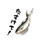 魚！魚！魚！（個別スタンプ：34）