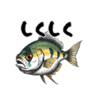 魚！魚！魚！（個別スタンプ：36）