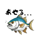 魚！魚！魚！（個別スタンプ：39）