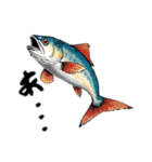 魚！魚！魚！（個別スタンプ：40）
