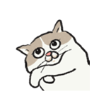 無字版アイラインねこ#1（個別スタンプ：2）