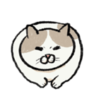 無字版アイラインねこ#1（個別スタンプ：3）
