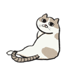 無字版アイラインねこ#1（個別スタンプ：4）