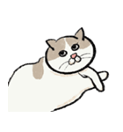 無字版アイラインねこ#1（個別スタンプ：5）