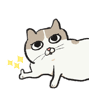 無字版アイラインねこ#1（個別スタンプ：12）