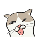 無字版アイラインねこ#1（個別スタンプ：14）