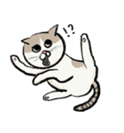 無字版アイラインねこ#1（個別スタンプ：15）