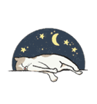 無字版アイラインねこ#1（個別スタンプ：20）