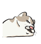 無字版アイラインねこ#1（個別スタンプ：21）