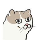 無字版アイラインねこ#1（個別スタンプ：22）