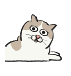 無字版アイラインねこ#1（個別スタンプ：23）