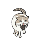 無字版アイラインねこ#1（個別スタンプ：27）
