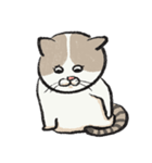 無字版アイラインねこ#1（個別スタンプ：33）