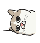 無字版アイラインねこ#1（個別スタンプ：34）