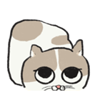 無字版アイラインねこ#1（個別スタンプ：36）
