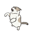 無字版アイラインねこ#1（個別スタンプ：38）