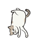 無字版アイラインねこ#1（個別スタンプ：40）