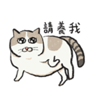 アイラインねこ - セリフ付き #1（個別スタンプ：1）