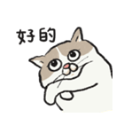 アイラインねこ - セリフ付き #1（個別スタンプ：2）