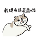 アイラインねこ - セリフ付き #1（個別スタンプ：5）