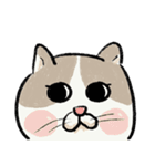 アイラインねこ - セリフ付き #1（個別スタンプ：9）