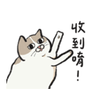 アイラインねこ - セリフ付き #1（個別スタンプ：11）