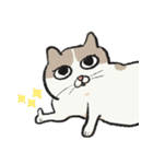 アイラインねこ - セリフ付き #1（個別スタンプ：12）