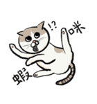 アイラインねこ - セリフ付き #1（個別スタンプ：15）