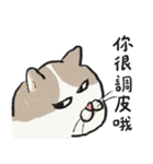 アイラインねこ - セリフ付き #1（個別スタンプ：16）
