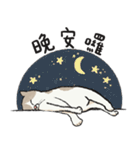 アイラインねこ - セリフ付き #1（個別スタンプ：20）