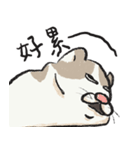 アイラインねこ - セリフ付き #1（個別スタンプ：21）