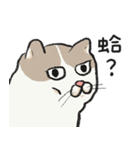 アイラインねこ - セリフ付き #1（個別スタンプ：22）