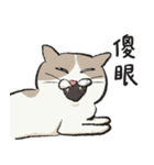 アイラインねこ - セリフ付き #1（個別スタンプ：24）