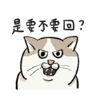 アイラインねこ - セリフ付き #1（個別スタンプ：26）