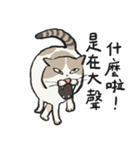 アイラインねこ - セリフ付き #1（個別スタンプ：27）