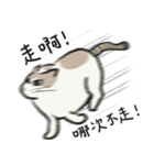 アイラインねこ - セリフ付き #1（個別スタンプ：29）