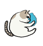 アイラインねこ - セリフ付き #1（個別スタンプ：31）