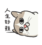 アイラインねこ - セリフ付き #1（個別スタンプ：34）