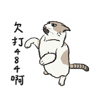 アイラインねこ - セリフ付き #1（個別スタンプ：38）