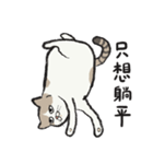 アイラインねこ - セリフ付き #1（個別スタンプ：40）