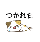 動く！毎日五月病なねこたち ネガティブ（個別スタンプ：3）