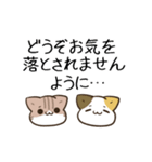 動く！毎日五月病なねこたち ネガティブ（個別スタンプ：24）