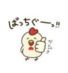 鶏肉専門店のマサチキスタンプ（個別スタンプ：5）