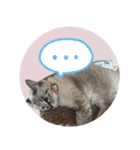 よひよつ（個別スタンプ：7）