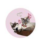 よひよつ（個別スタンプ：14）