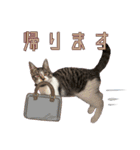 よひよつ（個別スタンプ：24）