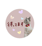 よひよつ（個別スタンプ：25）