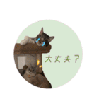 よひよつ（個別スタンプ：29）